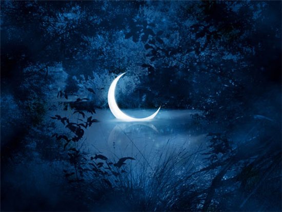 Картинки по запросу лунная ночь рисунок