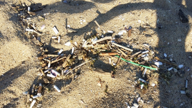окурки на пляже Кабакум